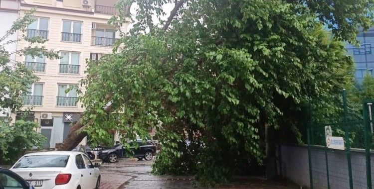 Denizli’ye kuvvetli rüzgar ve fırtına uyarısı
