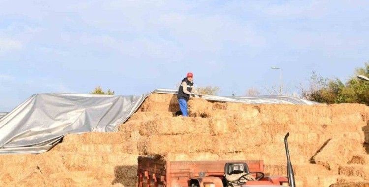 Büyükşehir’den küçük üreticiye ot balyası desteği
