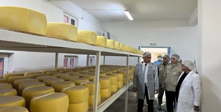 Kars’ta süt işletmeleri denetlendi