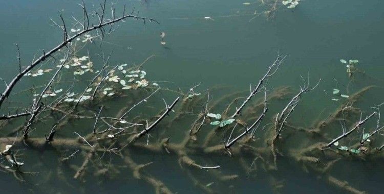 Sanatsal üretim projesine AB’den destek
