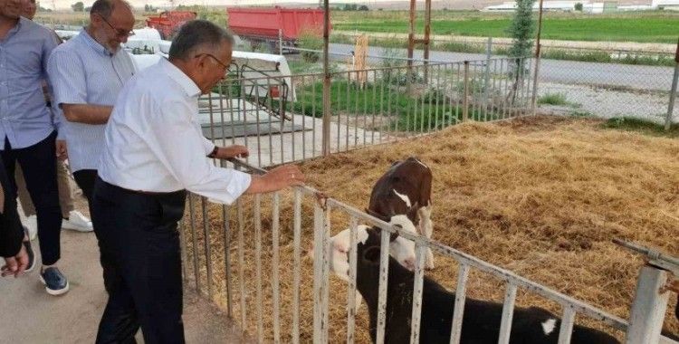 Büyükşehir’den Tarım Ve Hayvancılığa 5 Yılda Yaklaşık 500 Milyon TL’lik Yatırım
