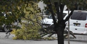 Denizli’de etkili olan fırtınada ağaçlar devrildi
