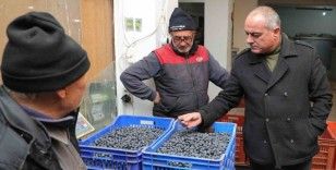 Başkan Sertaslan devreye girdi, fiyatlar arttı
