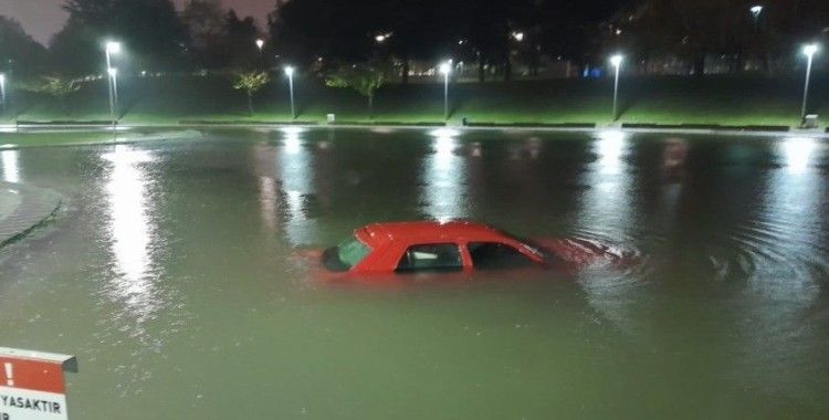 Park halindeki aracını çıkarmak isterken gölete düştü
