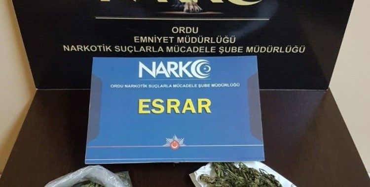 Ordu’da uyuşturucu operasyonları: 16 şahıs hakkında işlem yapıldı
