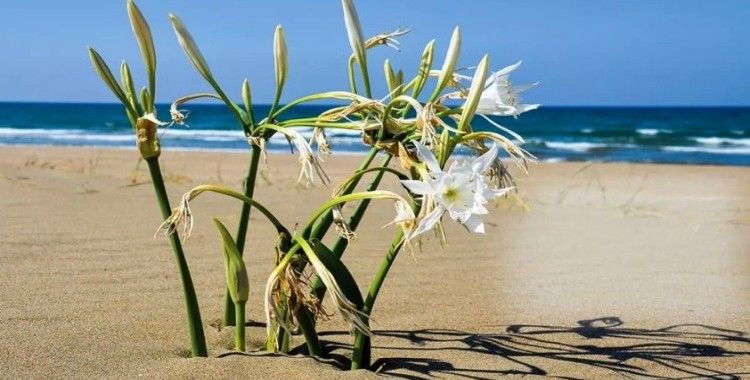 Belediyeler, yeşil bir gelecek için Antalya’da buluşuyor

