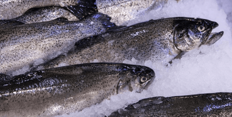 Su ürünleri ihracatının yıl sonunda 2 milyar dolara yaklaşması bekleniyor