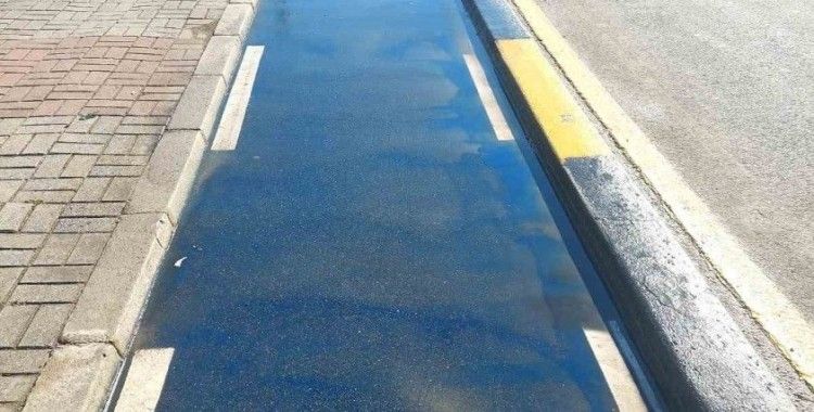 Sakarya’daki bisiklet yolları temizlendi
