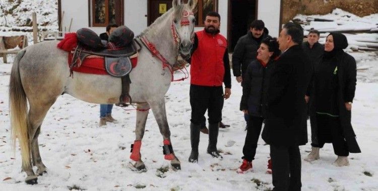 Öğretmenler at çiftliğini ziyaret etti