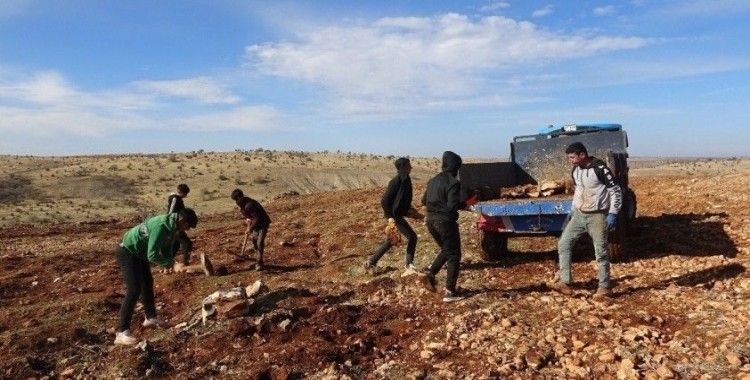 Mega kent İstanbul’u bırakan çiftçi, Mardin’de gül ve lavanta ekimi yapıyor
