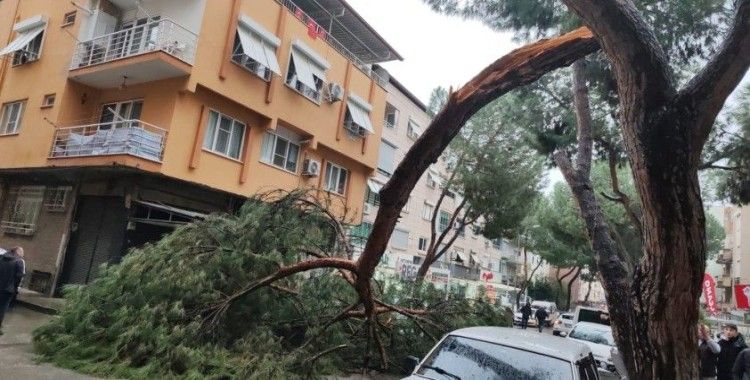 Kopan ağaç dalı seyir halindeki otomobilin üzerine düştü
