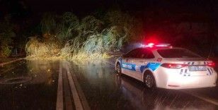 Edirne’de etkili olan sağanak ve fırtına ağaç devirdi, yol trafiğe kapandı
