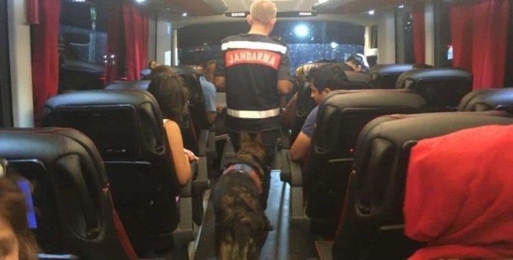 Uyuşturucu ile otobüs yolculuğuna jandarma “dur” dedi