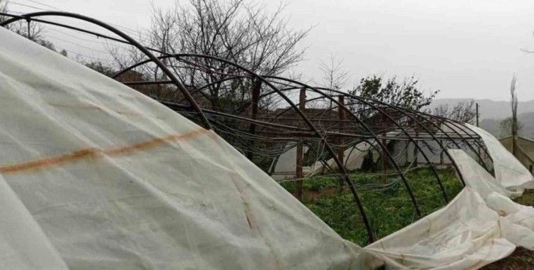 Kastamonu’da fırtına seraları vurdu
