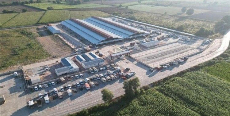 İnegöl Hayvan Pazarı yeniden hizmete başladı
