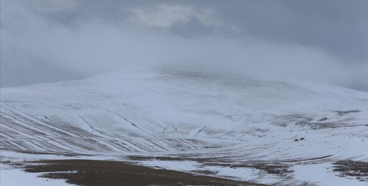 Erzurum ve Ardahan il merkezi ile Kars'ın yüksekleri karla kaplandı