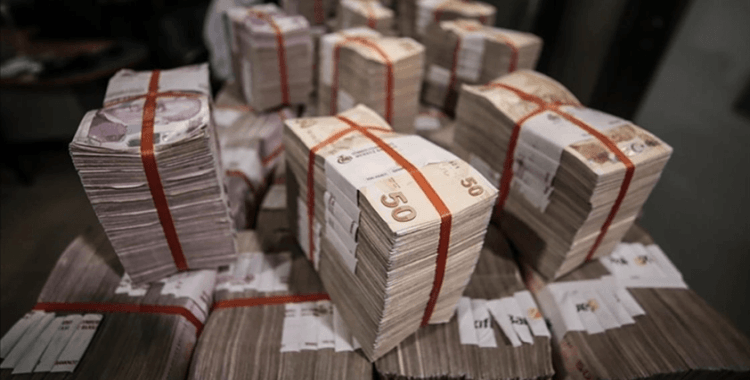 TCMB ekonomistleri, KKM sahibi firmaların döviz alım davranışlarını analiz etti