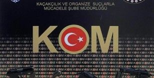 Kars'ta ruhsatsız silah operasyonu