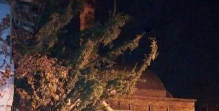 Çankırı’da şiddetli fırtına ağacı kökünden söktü

