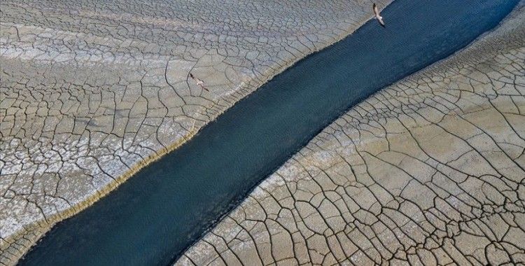 DSÖ, iklim değişikliği ve sağlık konuları için 'acil eylem' çağrısında bulundu