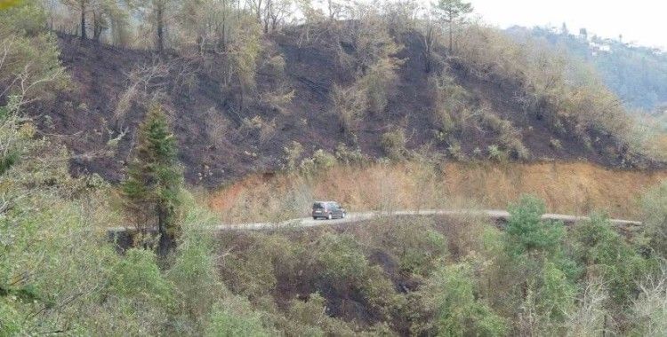 Yağmur faciayı önledi
