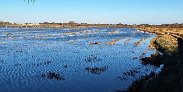 Samsun'da denizdeki fırtına tarım alanlarını sular altında bıraktı