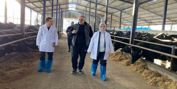 Manda yetiştiricileri destekleniyor
