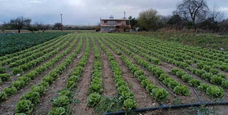 Yağış ve doludan etkilenen tarım arazilerinde kontroller başladı
