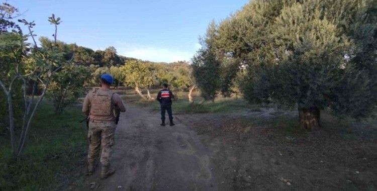 Jandarma tarımsal ürün hırsızlığına geçit vermiyor
