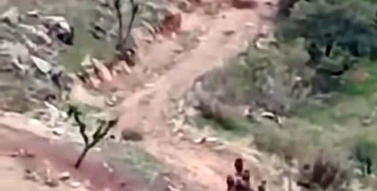 Batman’da domuz sürüsü cep telefonu kamerasına yansıdı
