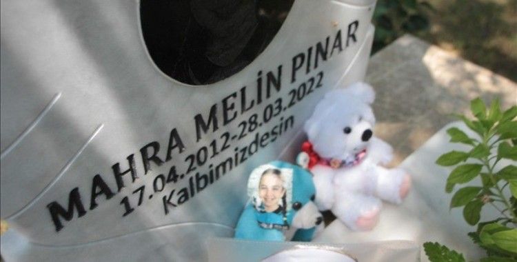 Antalya'da köpeklerden kaçarken ölen çocuğun ailesine 3,9 milyon lira tazminat ödenmesine karar verildi