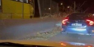 Metro raylarına ağaç düştü, seferler bir süreliğine iptal edildi
