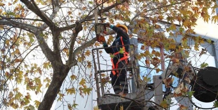 Bağcılar’da budanan dallar geri dönüşüme kazandırılıyor
