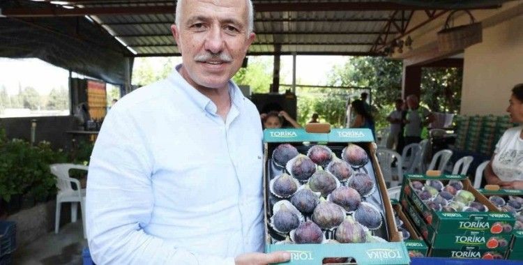 Akdenizli incir üreticilerine bilimsel destek
