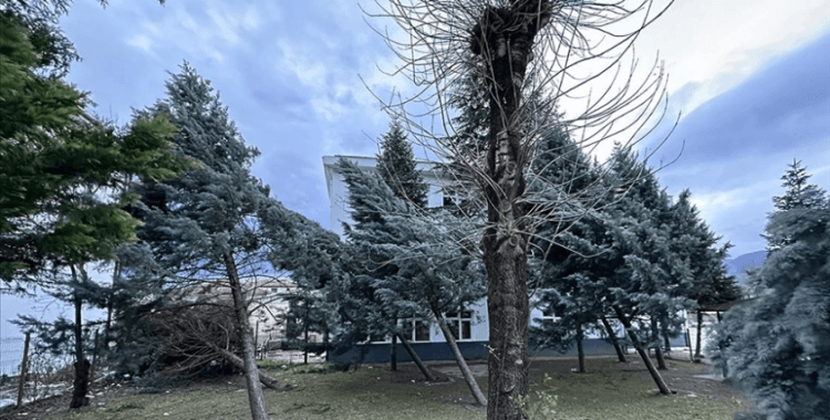 Düzce ve Sakarya'da kuvvetli rüzgar etkili oldu