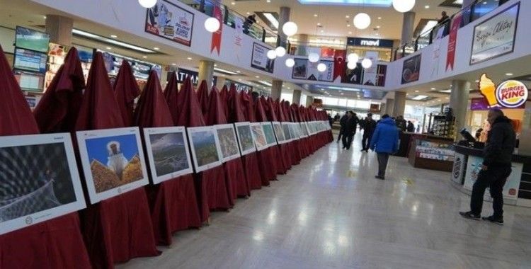 ’13. Tarım Orman ve İnsan’  fotoğraf sergisi büyük beğeni topladı
