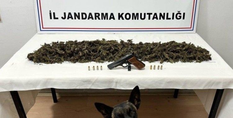 Tokat’ta bir araçta 2 kilo 300 gram esrar ele geçirildi

