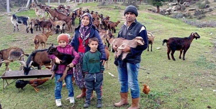 “Kavşit Köyü ve Yöresi Keçicilik Projesi” devam ediyor
