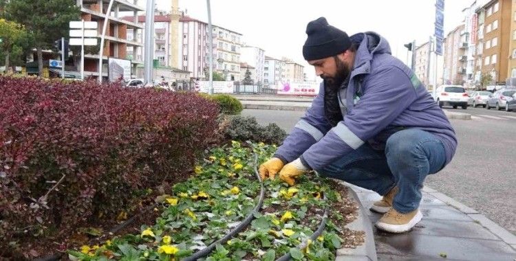 Yozgat Belediyesi 20 bin menekşeyi toprakla buluşturdu
