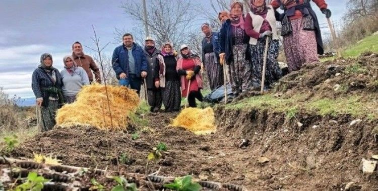 Kütahya’da gıda ormanı çalışması
