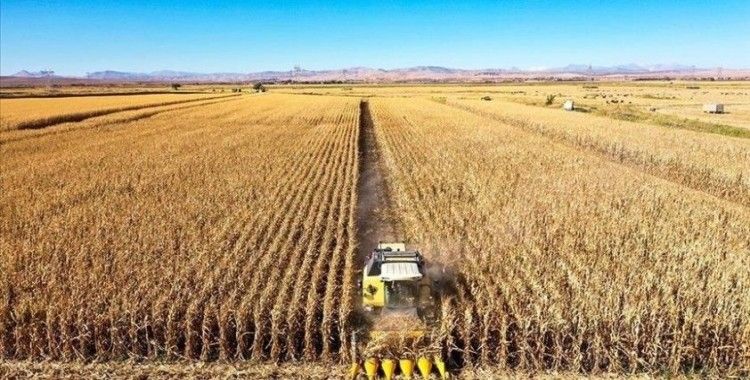 Türkiye ve AB tarım sorunlarını diyalogla çözmeye çalışacak