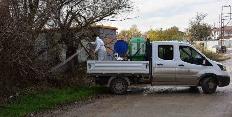 Haşere üreme alanlarında ve konteyner kentlerde ilaçlama yapılıyor
