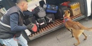 Jandarma ekiplerinden aranan şahıslara operasyon
