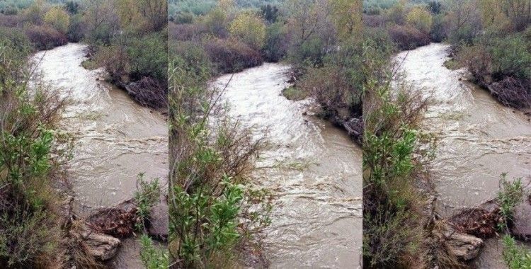 Milas’taki Hamzabey Çayı, eski günlerine geri döndü
