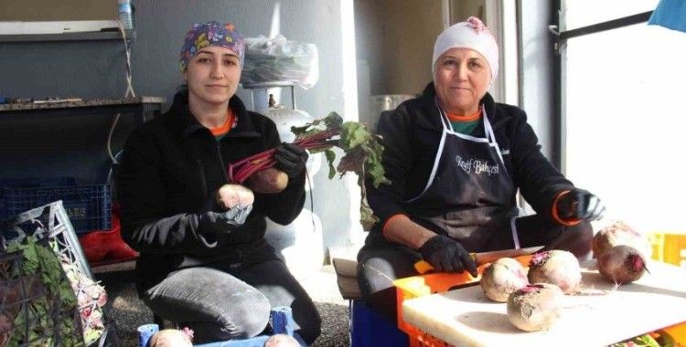 Aydınlı gıda mühendisi pancarın değerini arttırdı
