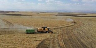 Çiftçilere 1 milyar 81 milyon liralık tarımsal destekleme ödemesi bugün yapılacak