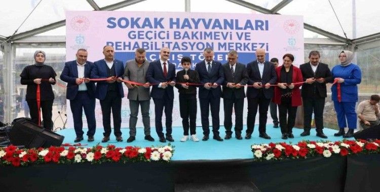 Sokak hayvanlarına geçici bakımevi hizmete açıldı
