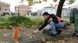 Yalova Belediyesi’nden sokak hayvanlarına 11 ayda 28,5 ton mama
