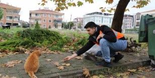 Yalova Belediyesi’nden sokak hayvanlarına 11 ayda 28,5 ton mama
