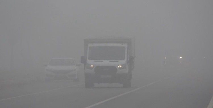 Muş’ta sis etkili oldu
